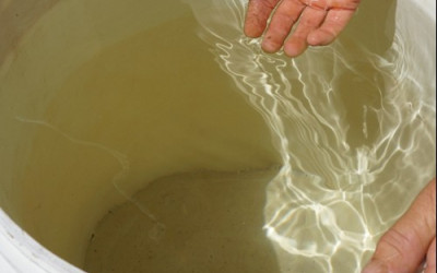 Nước nhiễm mặn là gì? Nguyên nhân và thực trạng