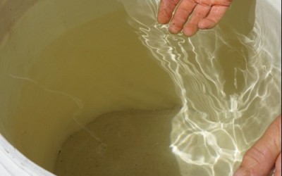 Nước nhiễm mặn là gì? Nguyên nhân và thực trạng