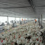 Hệ thống lọc tổng trong trại gà – Giải pháp cho chăn nuôi gà hiệu quả