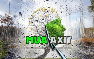 Mưa axit