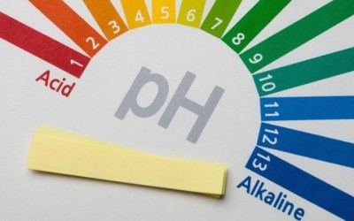 Thang ph là gì? Cách xác định độ pH như thế nào, ảnh hưởng của độ pH đến môi trường sống như thế nào?