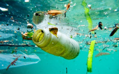 Ô nhiễm môi trường nước. Nguyên nhân, hậu quả và biện pháp khắc phục