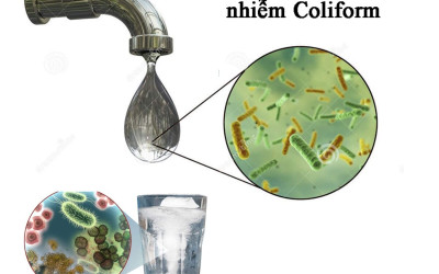 Coliform là gì? Những dấu hiệu cho thấy nước nhà bạn bị nhiễm khuẩn coliform