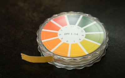 pH và độ pH là gì? Những thông tin bạn cần biết về chỉ số pH