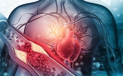 Những lợi ích tuyệt vời của nước ion kiềm đối với bệnh tim mạch